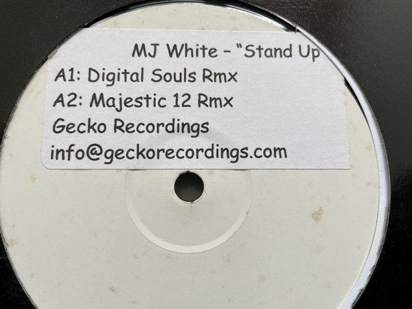 Обложка пластинки MJ White Featuring Ministry In Music – Stand Up
