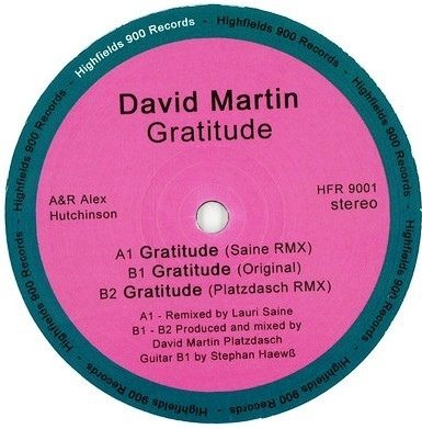 Обложка пластинки David Martin Platzdasch – Gratitude