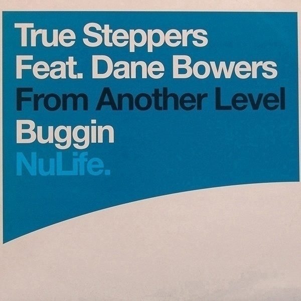 Обложка пластинки True Steppers Feat. Dane Bowers – Buggin