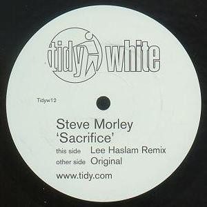 Обложка пластинки Steve Morley – Sacrifice
